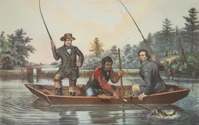 Catching A Trout